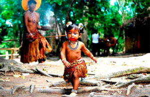 porto seguro reservas indigenas