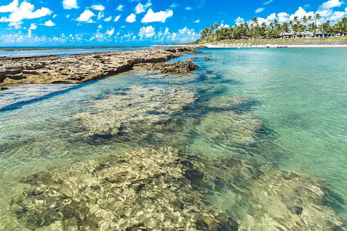 Praia de Maragogi Praia de Maragogi