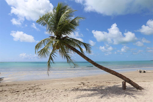 Praia de Barra Grande em Maragogi Praia de Barra Grande em Maragogi